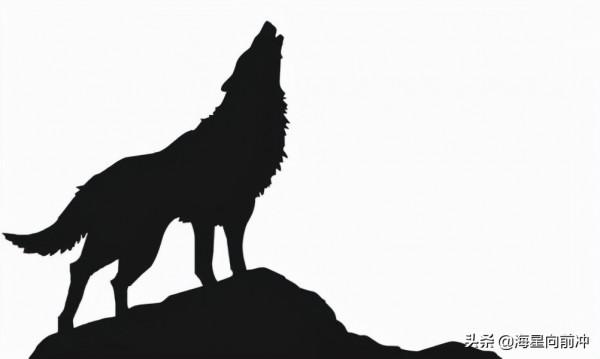 《狼圖騰》讀後感 《狼圖騰》讀後感