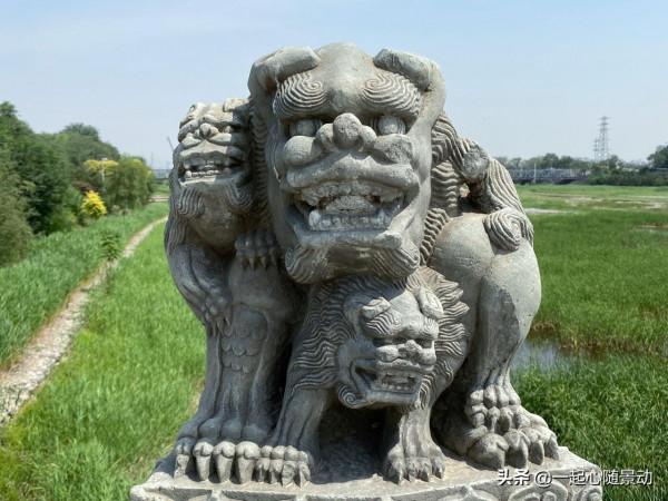 盧溝橋上的石獅子明明不會跑,為什麼還數不清? 盧溝橋上的石獅子明明不會跑,為什麼還數不清?