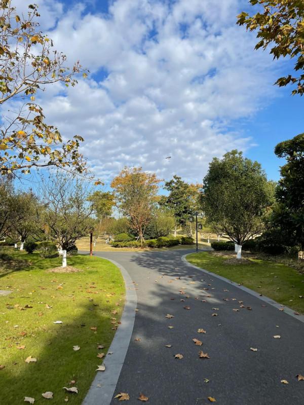 陽光☀️慢跑 陽光☀️慢跑