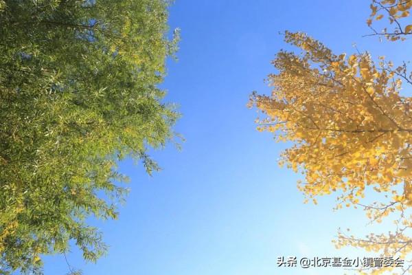 秋日特輯 | 賞不盡的小鎮秋色