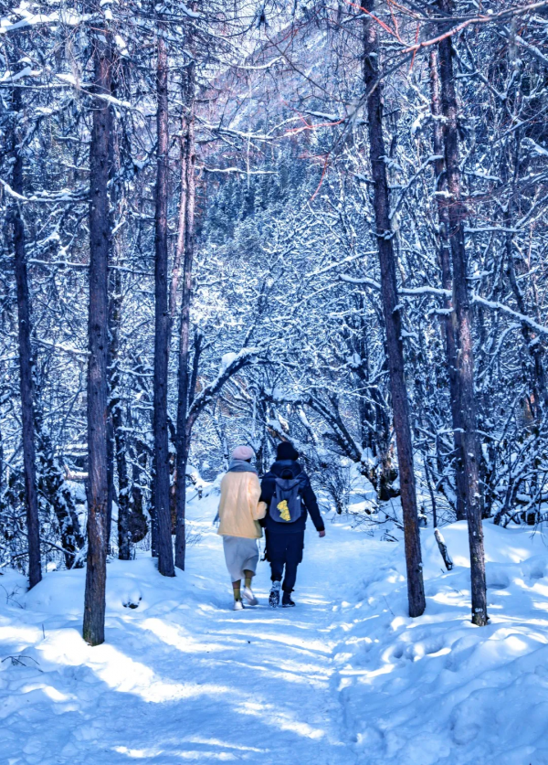請觀看！只屬於畢棚溝的賀歲大片