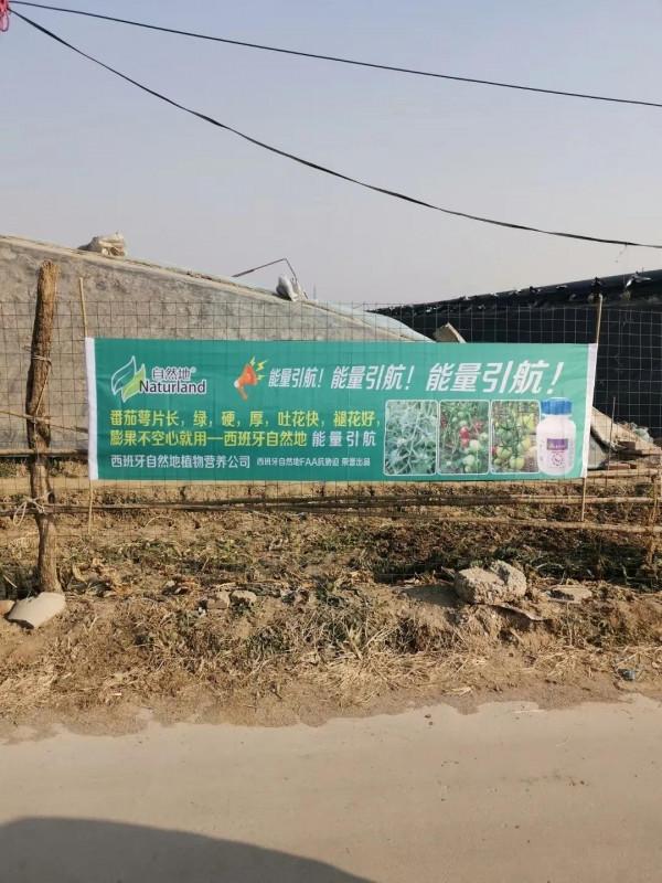 番茄萼片的盛麗美顏--西班牙自然地能量引航 番茄萼片的盛麗美顏--西班牙自然地能量引航