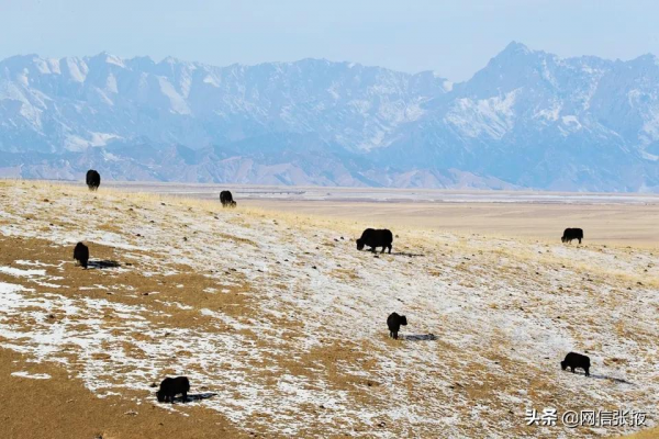山丹馬場冬日景色美