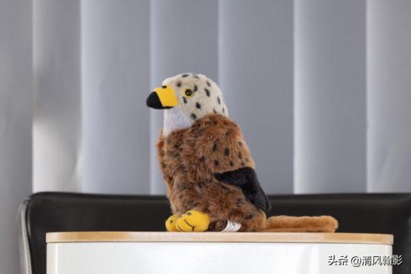 佳能微單800和600長焦鏡頭怎麼樣?不算權威的評測瞭解下 佳能微單800和600長焦鏡頭怎麼樣?不算權威的評測瞭解下