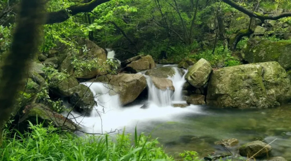 西峽這個地方秋色“蠢蠢欲動”，是時候開啟一場深秋之旅啦