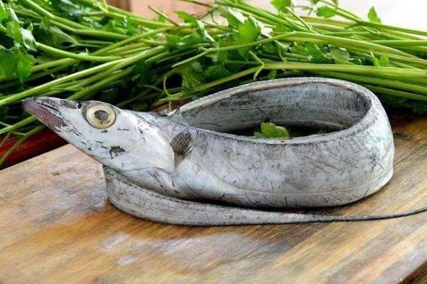 大年初一吃哪種魚，寓意最好?大廚:就吃這4種魚，實惠美味寓意好