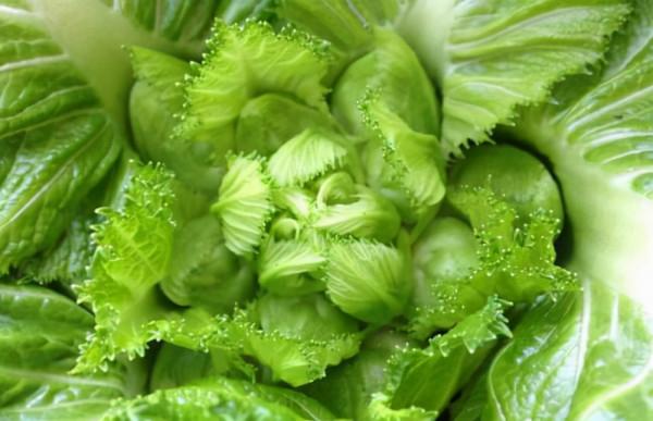 兒菜家常做法:熗炒兒菜,簡單美味又下飯,多人不知還能養生 兒菜家常做法:熗炒兒菜,簡單美味又下飯,多人不知還能養生