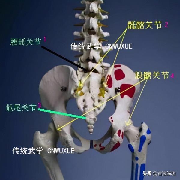太極拳開胯及腰檔轉換秘訣 太極拳開胯及腰檔轉換秘訣