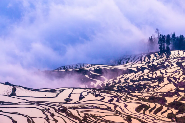 雲南恢復跨省遊！2021年最後兩週，我們該去雲南看看另一種冬天