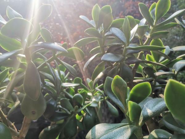 又到冬季，盤點打理一下這方寸間