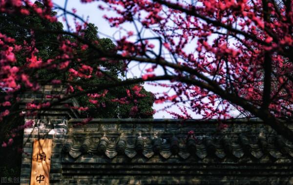 坐在閬中的小院裡，在陽光下，任時光流逝