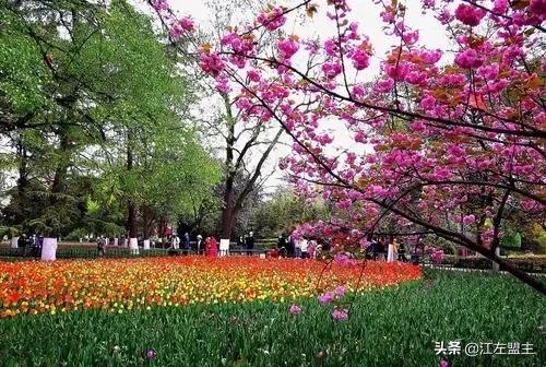 期待春天來了的時候，和你一日看盡長安花