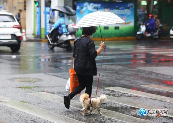 （文明行為）文明養犬理念入人心