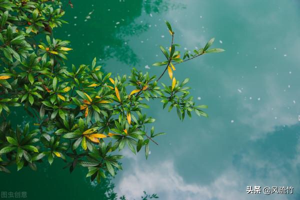 人體是怎樣衰老的？（上）