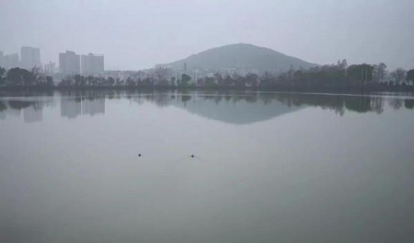 雨水｜碧波微動，晴耕雨讀