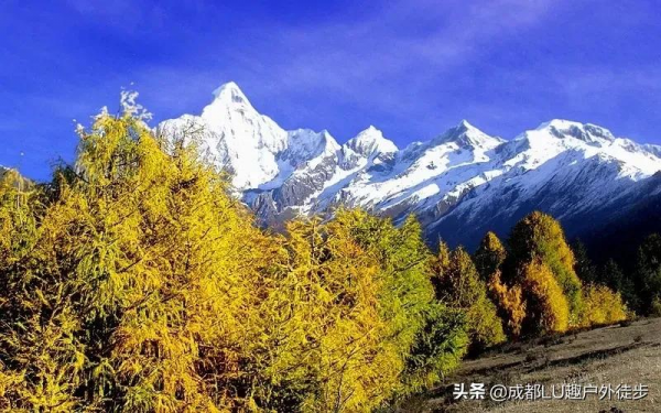 川西最美秋色進行曲,對的時間去對的地方,這次不會錯過 川西最美秋色進行曲,對的時間去對的地方,這次不會錯過