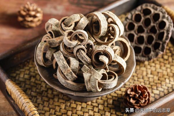 慢性咽炎?送你五味中藥,行氣散結,化痰降逆,助你清清嗓 慢性咽炎?送你五味中藥,行氣散結,化痰降逆,助你清清嗓