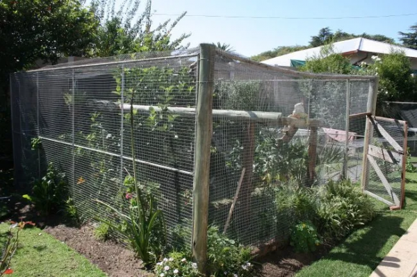 放心 你認識的綠鬣 還叫“綠鬣” 放心 你認識的綠鬣 還叫“綠鬣”