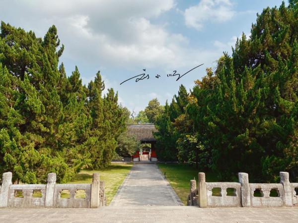 上海發展最好的郊區之一，歷史悠久、經濟發達，還與江蘇蘇州接壤