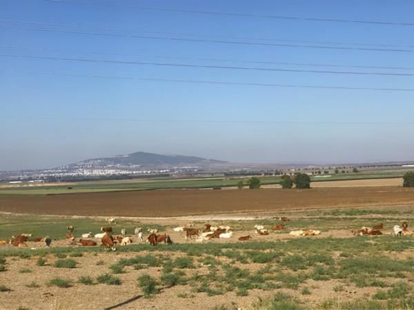 古以色列時代的終結 古以色列時代的終結