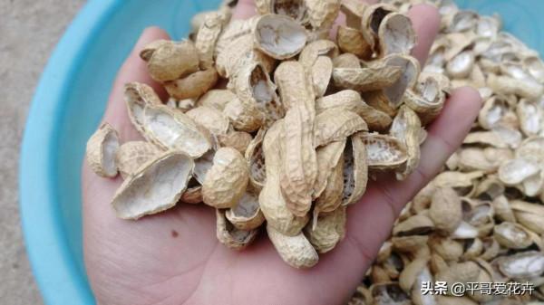 家裡最常見的“垃圾”，學會這樣處理，都是養花的“好寶貝”