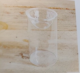 球根植物怎麼養？教你水培風信子