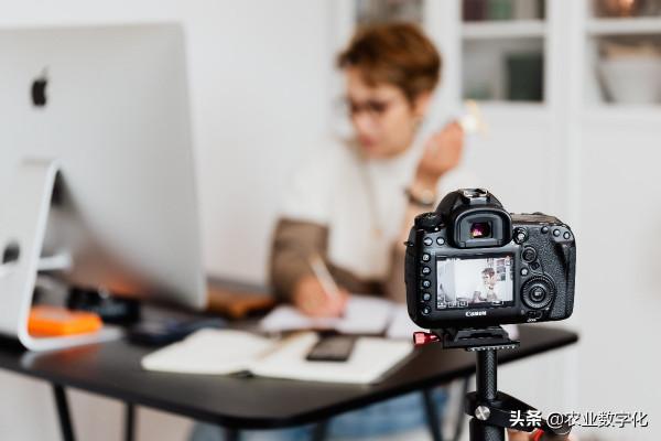 兩千字手稿：鄉村振興機會點有這十個