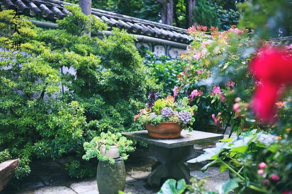 大理一獨特寺廟，內部滿園鮮花不燒香，清新淡雅很是雅緻