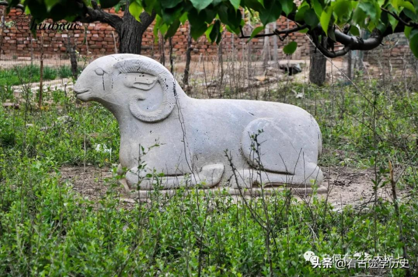 村民把祖墳圈進果園，這位祖先竟是康熙老師，官至紀委副書記