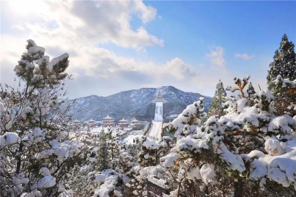 翔海森林小鎮：冬季到龍口來看雪，美哭嘞