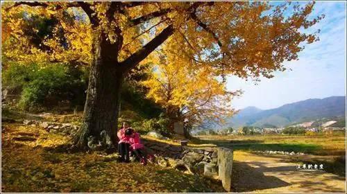 親情散文l 父愛如刀