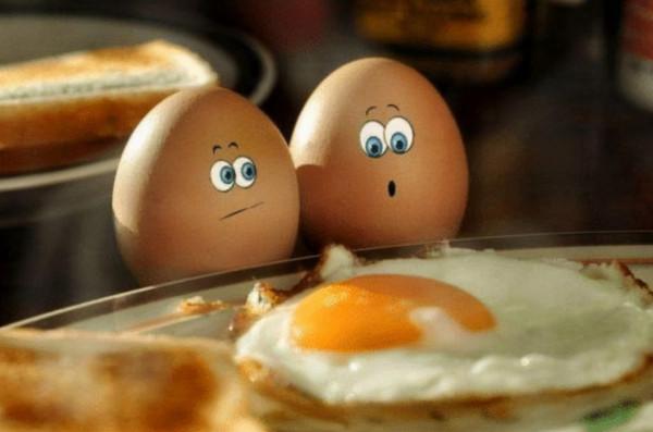 吃雞蛋可以減肥嗎？過量食用會給身體帶來哪些不良反應？瞭解一下
