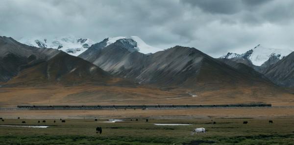中國基建貫穿喜馬拉雅？中尼鐵路相接之際，印度只能乾瞪眼？