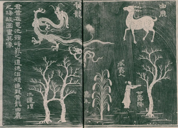 穿越者王莽,死於“祥瑞”的“河豚毒” 穿越者王莽,死於“祥瑞”的“河豚毒”