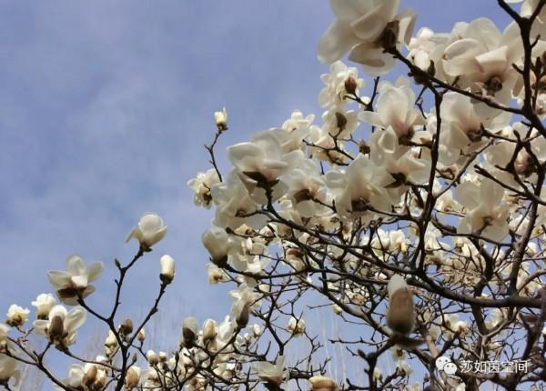 類風溼關節炎輔助治療方法之飲食篇 類風溼關節炎輔助治療方法之飲食篇