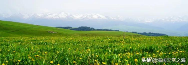 這裡是新疆|全畫幅美景(2) 這裡是新疆|全畫幅美景(2)