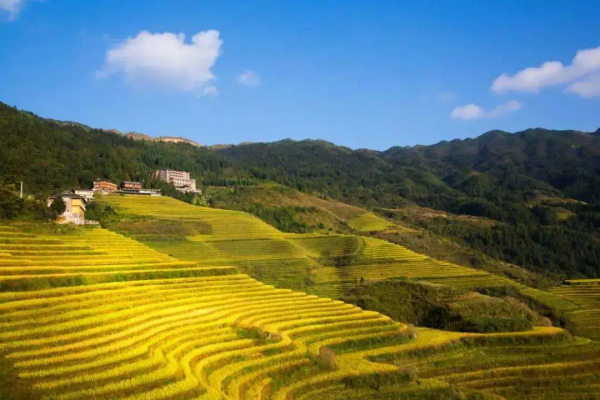 11月去哪裡賞秋?6個人少景美的旅行地,正是你要出發的方向 11月去哪裡賞秋?6個人少景美的旅行地,正是你要出發的方向