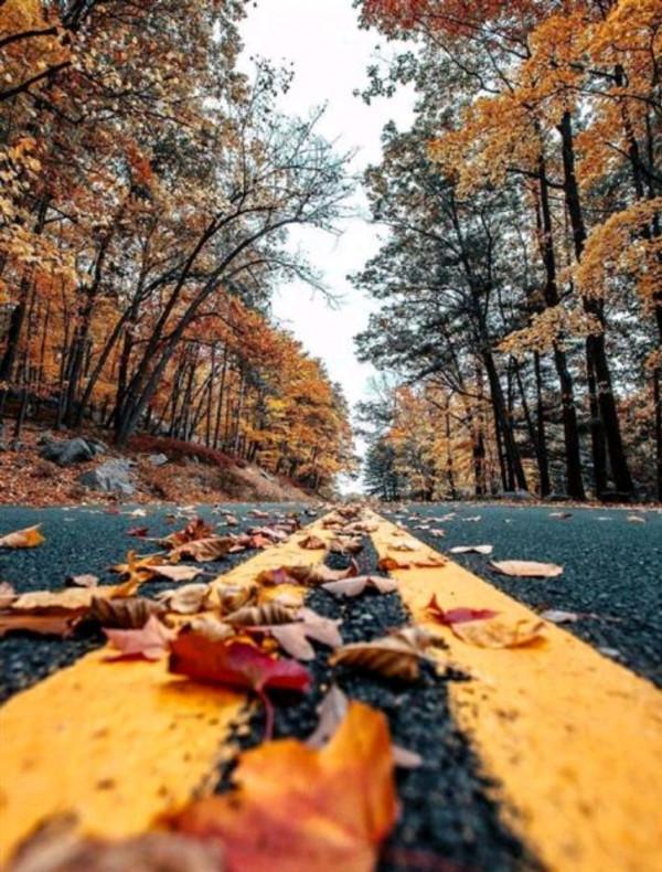 散文:十月深秋,用深情寫意人生 散文:十月深秋,用深情寫意人生