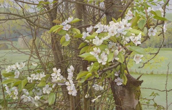 喬克·弗裡瑪的寫實作品欣賞