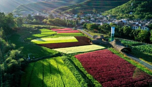 王毅接待多國外長，地點為何選在湖州？