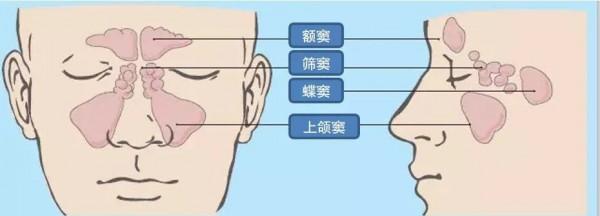 【兒研所兒醫說】孩子眼睛腫，醫生為什麼讓去看耳鼻喉？