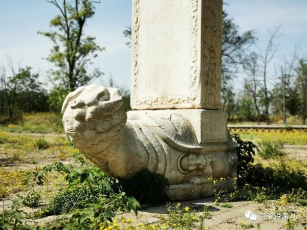 驚詫!京郊一古墓的“贔屓”居然回頭了 驚詫!京郊一古墓的“贔屓”居然回頭了