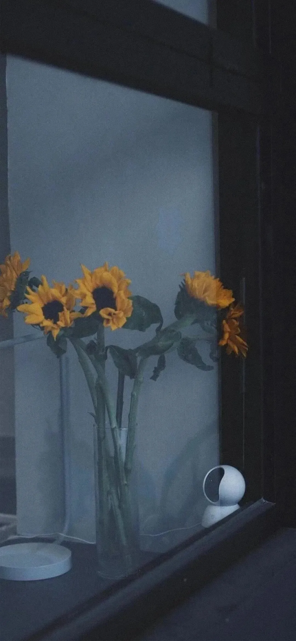 桌布：今天的桌布很好看