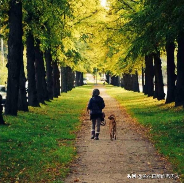 老馬的春天來了