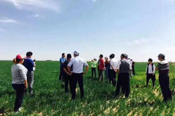 邵根夥博士：致敬中國聖牧，致敬創造的力量