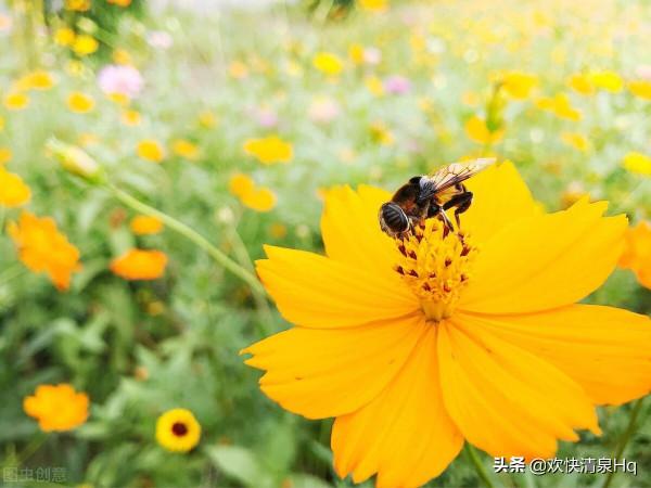 愛出者愛返，福往者福來，善良之人，必有好報