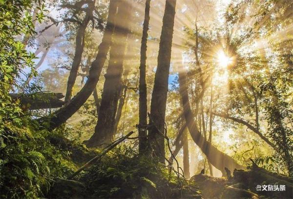 初秋，到屏邊大圍山開始新的故事