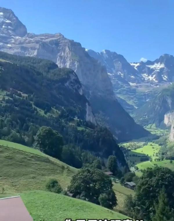 城市公園是不是樹多就美？