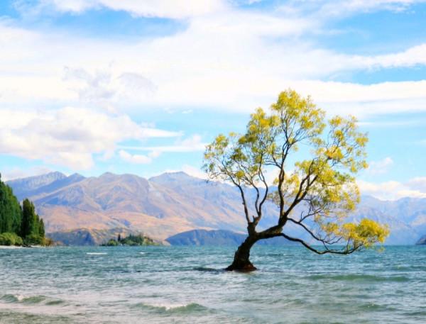 有氣質，看起來溫柔，但骨子裡卻有硬氣的星座：大約這就是情商
