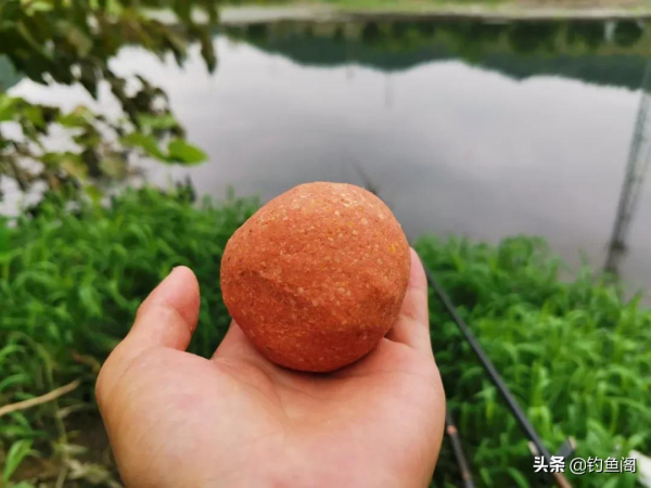 餌料里加點酒米，不打窩也能保持連桿！這種釣法春季太好用了